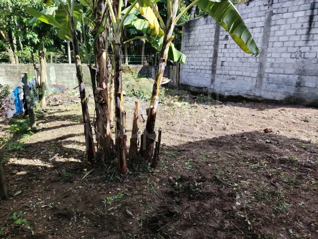 Residential Land for Sale in Wattala