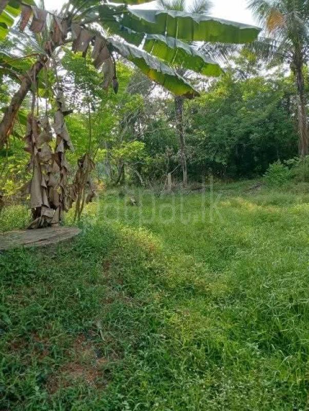 House for Sale in Kotadeniyawa