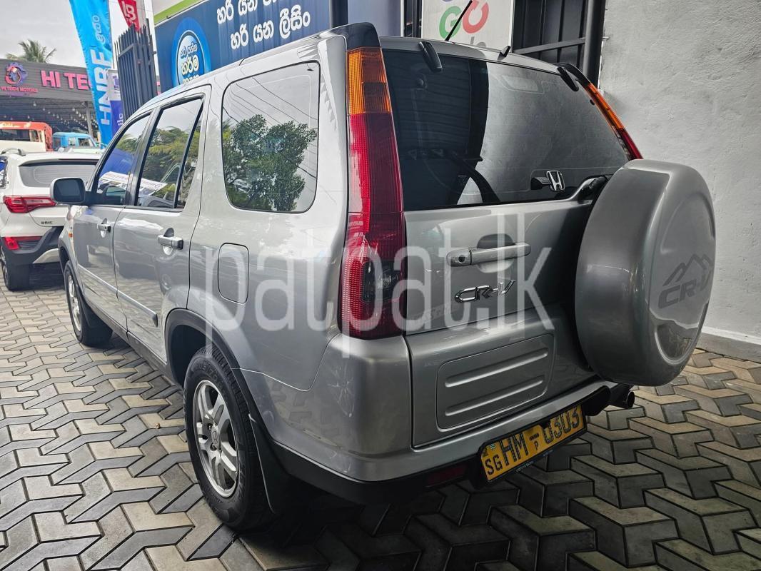 Advertisement image 3