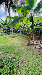 Residential Land for Sale in Welawa Juncton