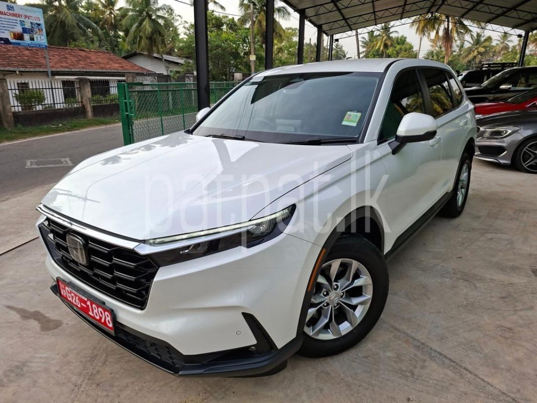 Advertisement image 2