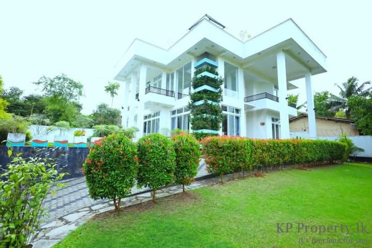 Advertisement image 5