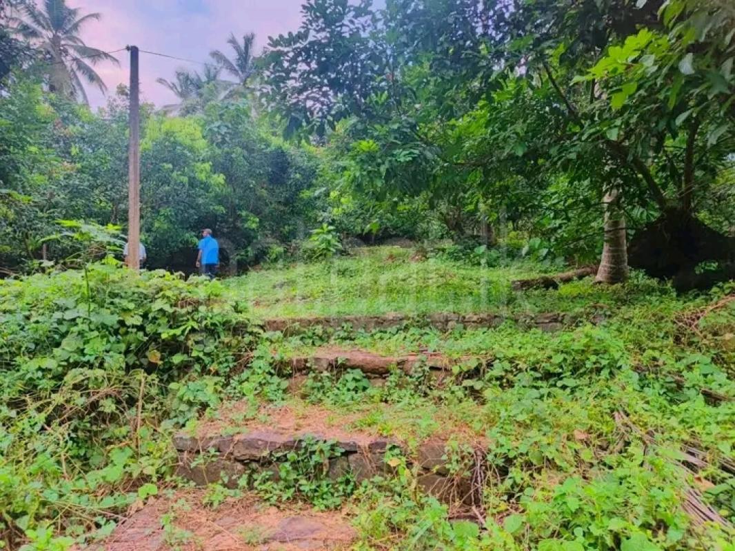 Residential Land for Sale in Katunayake