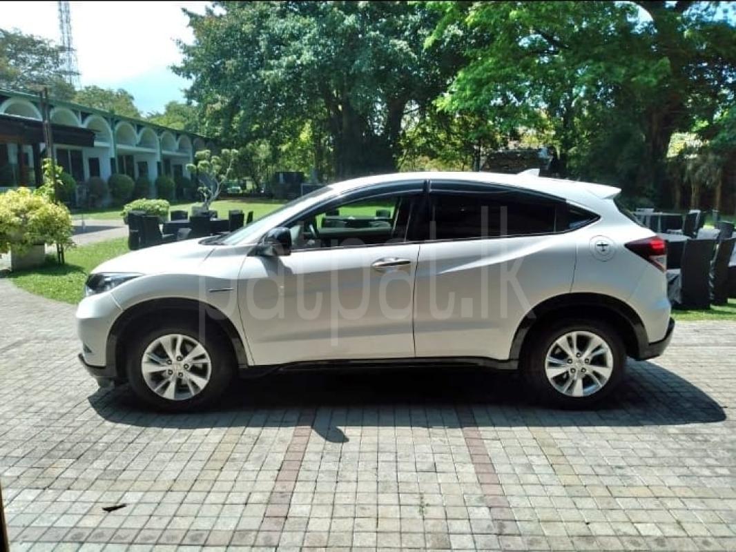 Advertisement image 4