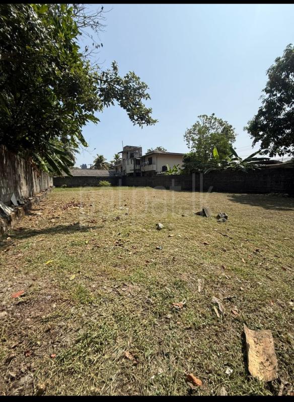 Commercial Land for Sale in Ratmalana