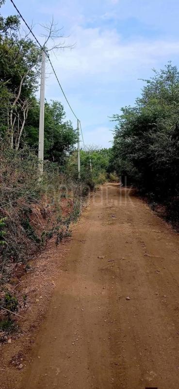 Residential Land for Sale in Kataragama