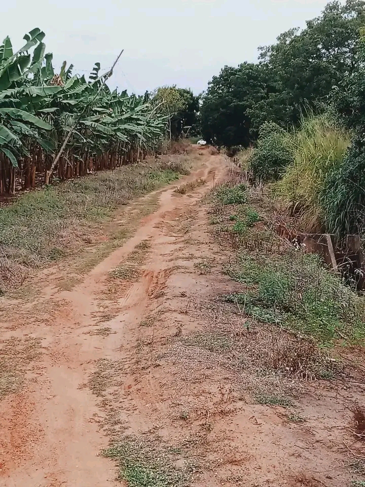 Commercial Land for Sale in Hambantota