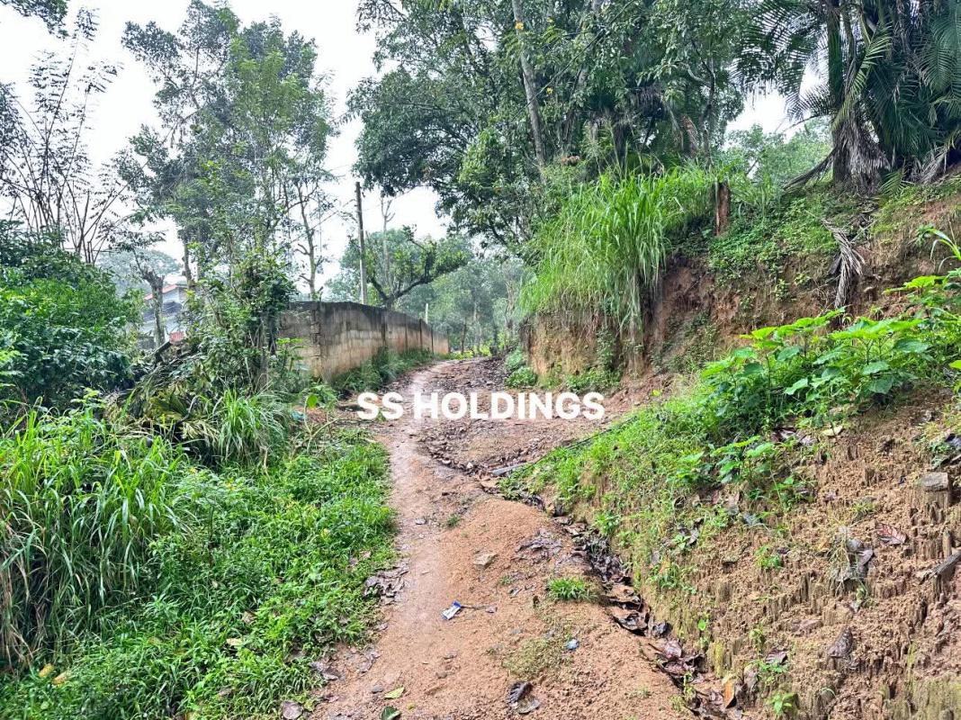 Commercial Land for Sale in Welimada