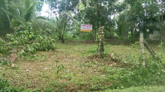 Residential Land for Sale in Attanagalla