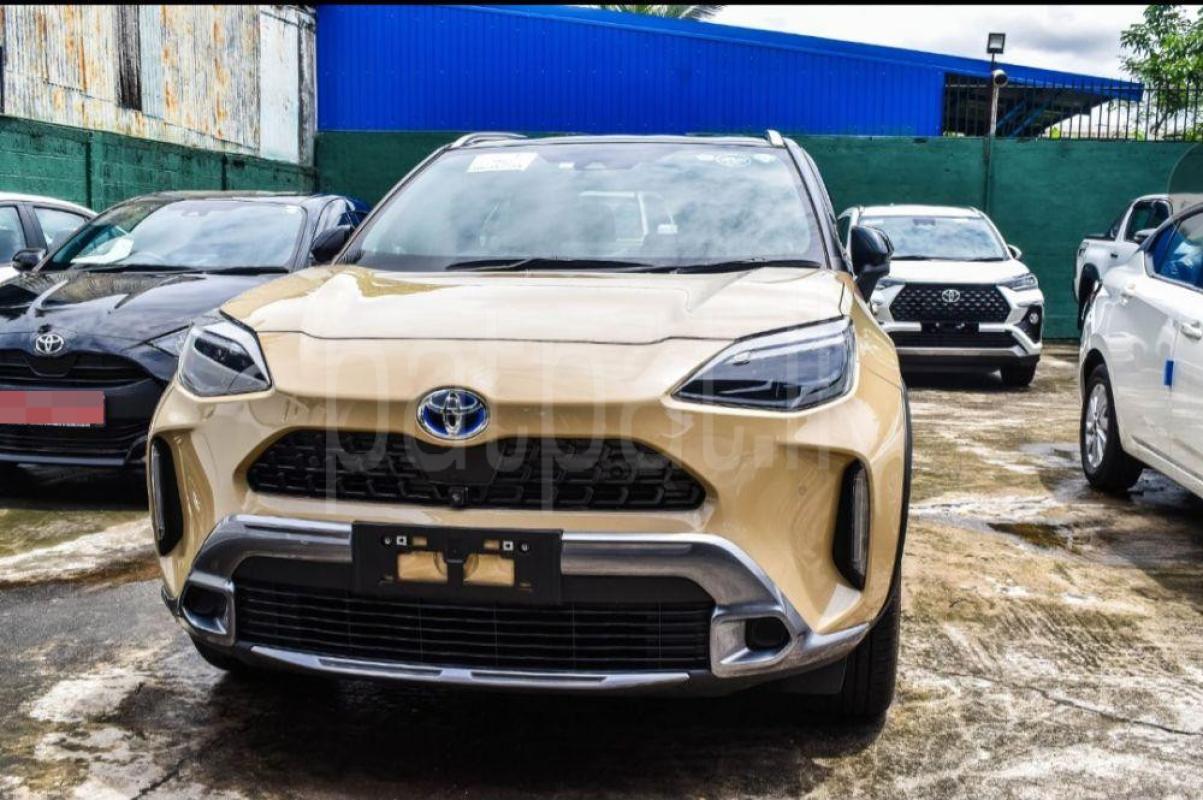 Advertisement image 1