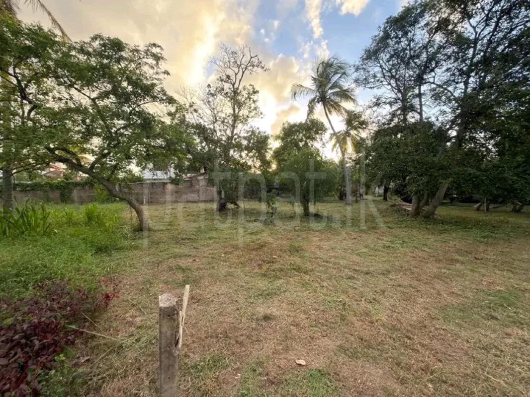 Commercial Land for Sale in Negombo