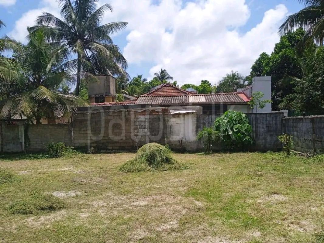 Agricultural Land for Sale in Polgahawela