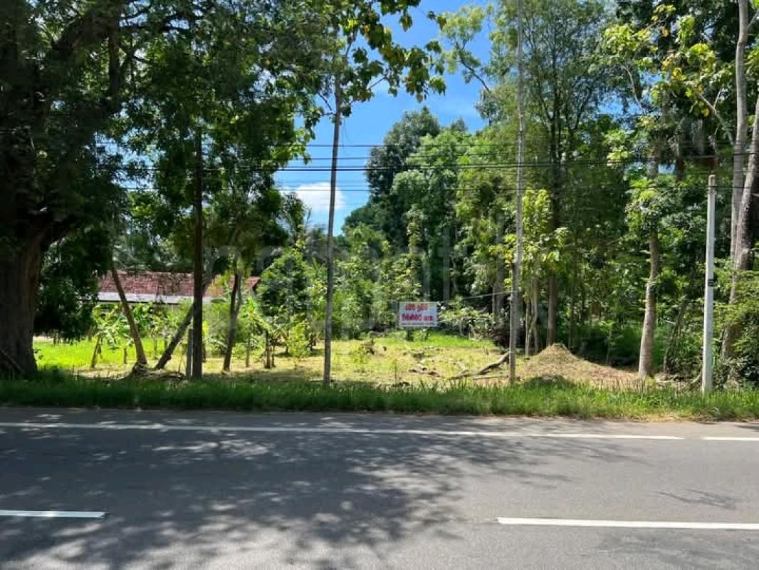 Commercial Land for Sale in Ambanpola