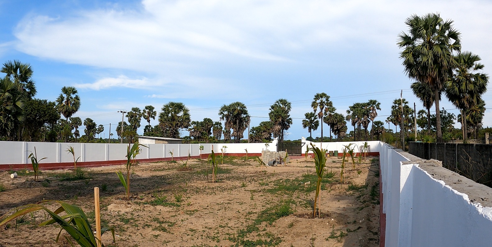 Agricultural Land for Sale in Jaffna