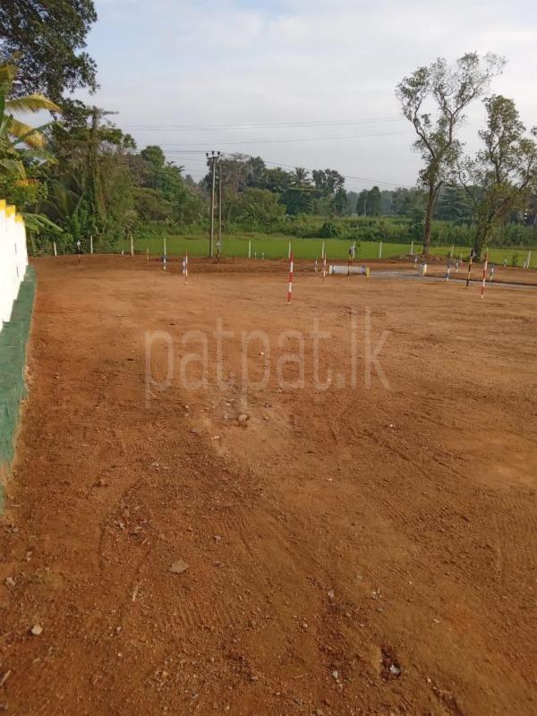 premium-listing-image