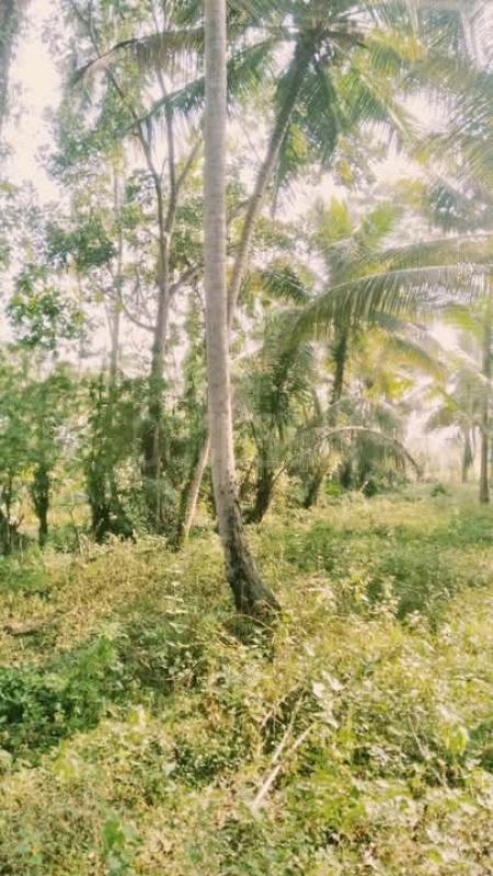 Commercial Land for Sale in Wariyapola