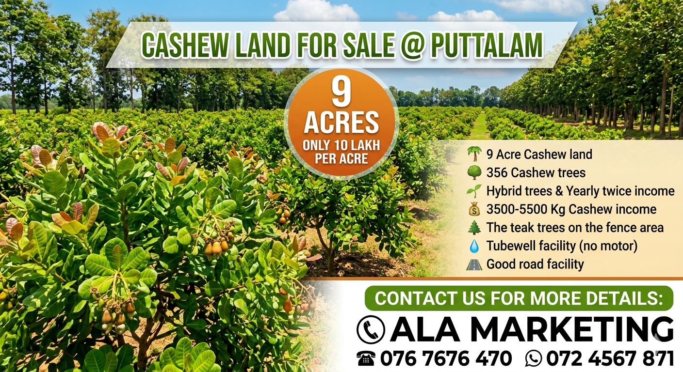 Agricultural Land for Sale in Puttalam