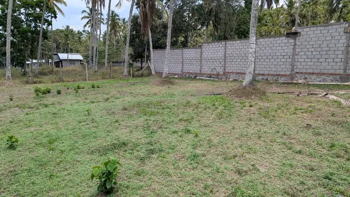 Commercial Land for Sale in Dunagaha