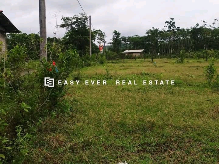 Commercial Land for Sale in Horana