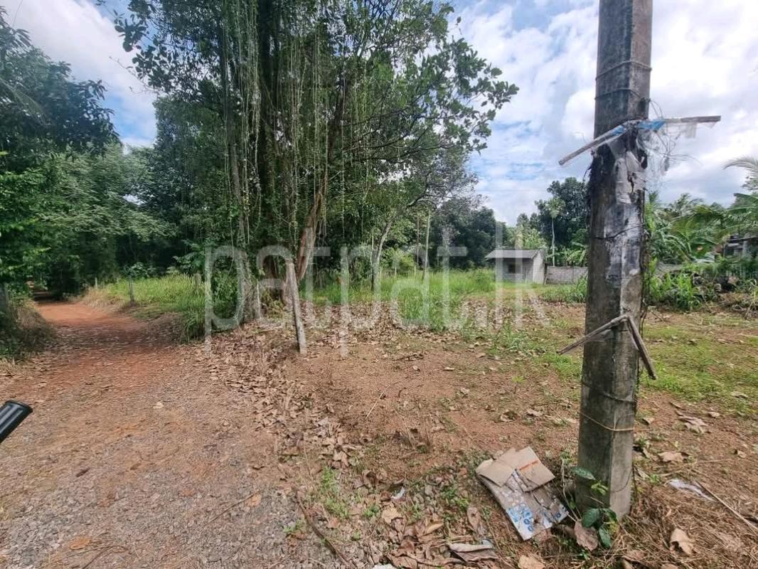 Residential Land for Sale in Horana ads-image-1