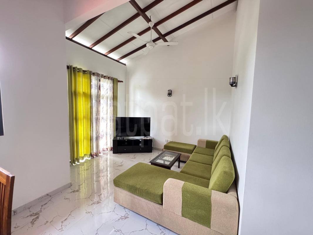 Advertisement image 12