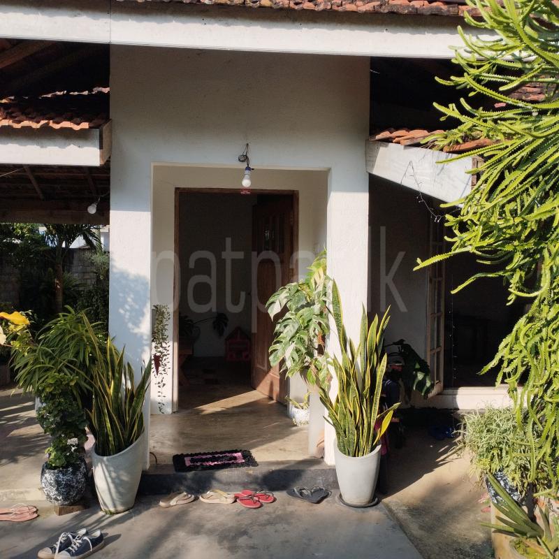 House for Sale in Negombo