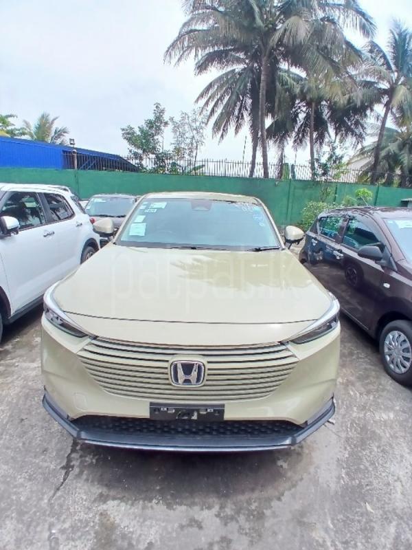 Advertisement image 1