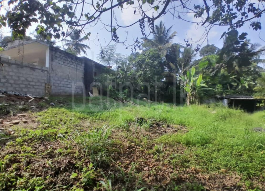 Commercial Land for Sale in Kundasale