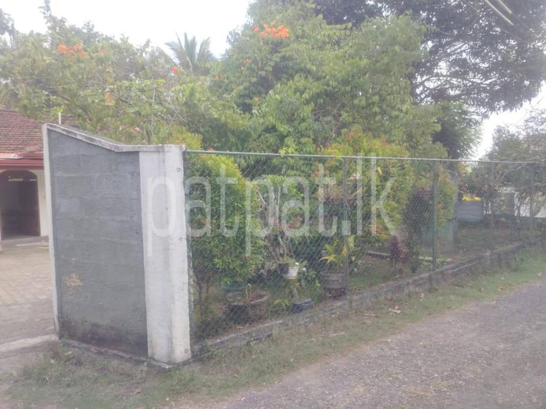 House for Sale in Piliyandala