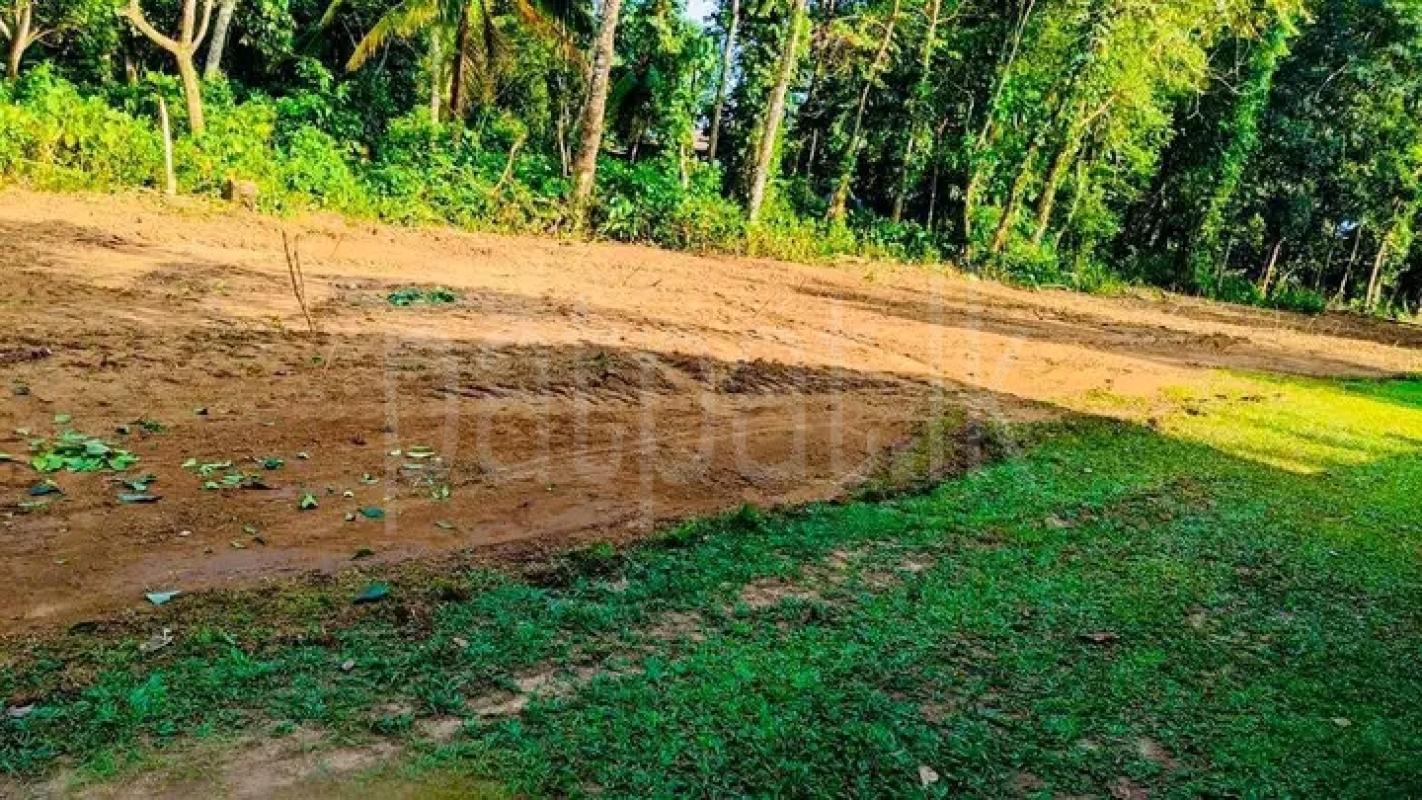 Residential Land for Sale in Bandaragama