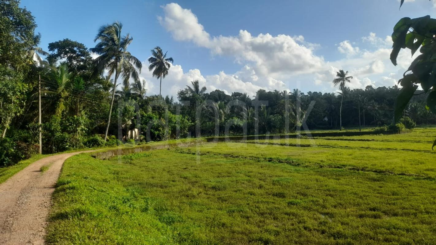 Agricultural Land for Sale in Dompe