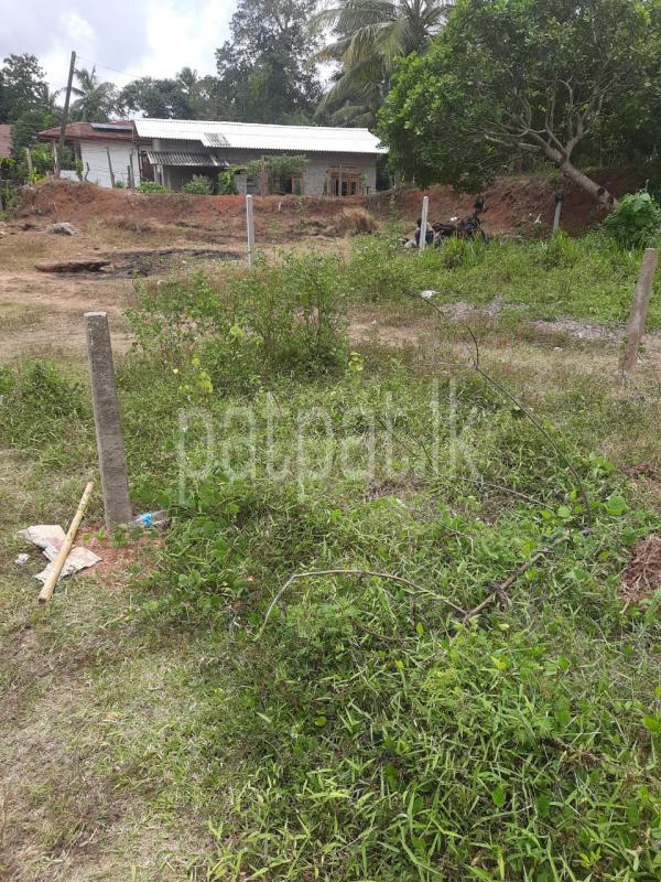 Residential Land for Sale in Kotugoda ads-image-1