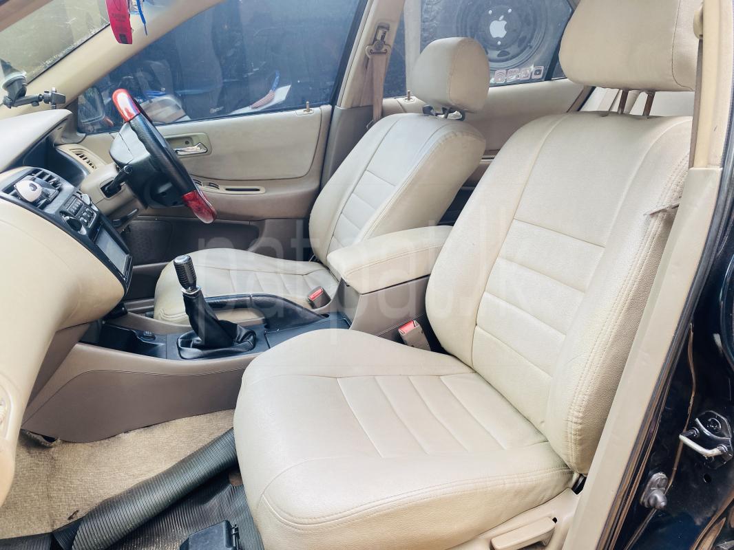 Advertisement image 5