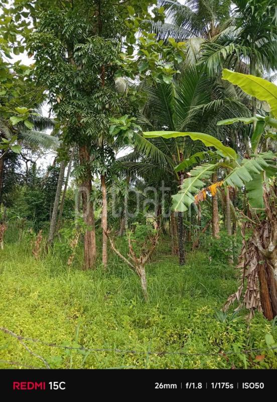 Residential Land for Sale in Veyangoda