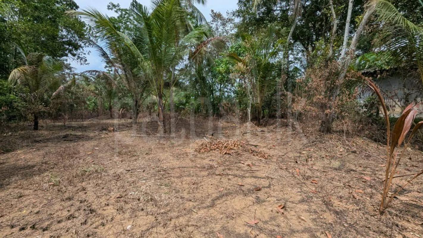 Residential Land for Sale in Urapola