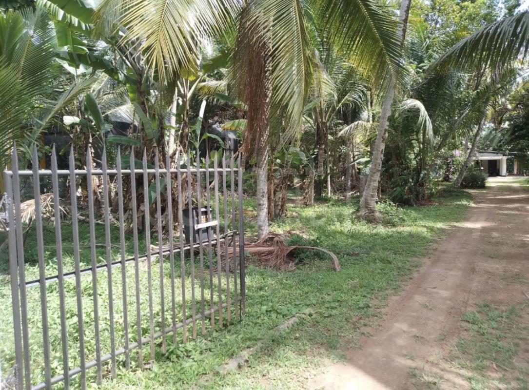 Agricultural Land for Sale in Wehigala