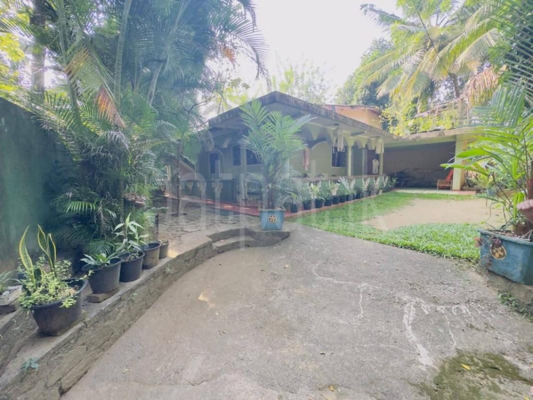 House for Sale in Kundasale ads-image-1