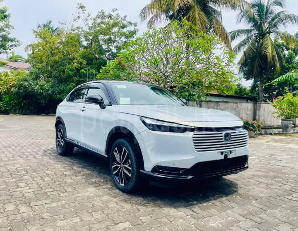 Advertisement image 6