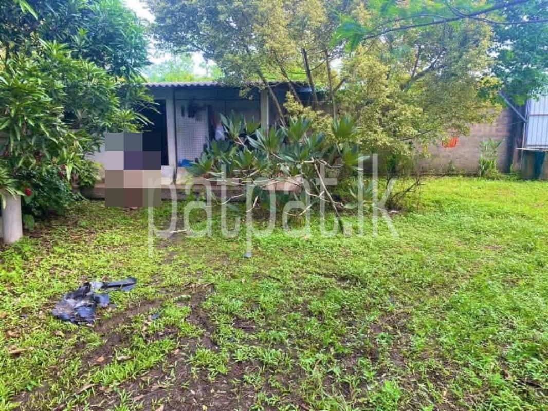 Commercial Land for Sale in Hikkaduwa