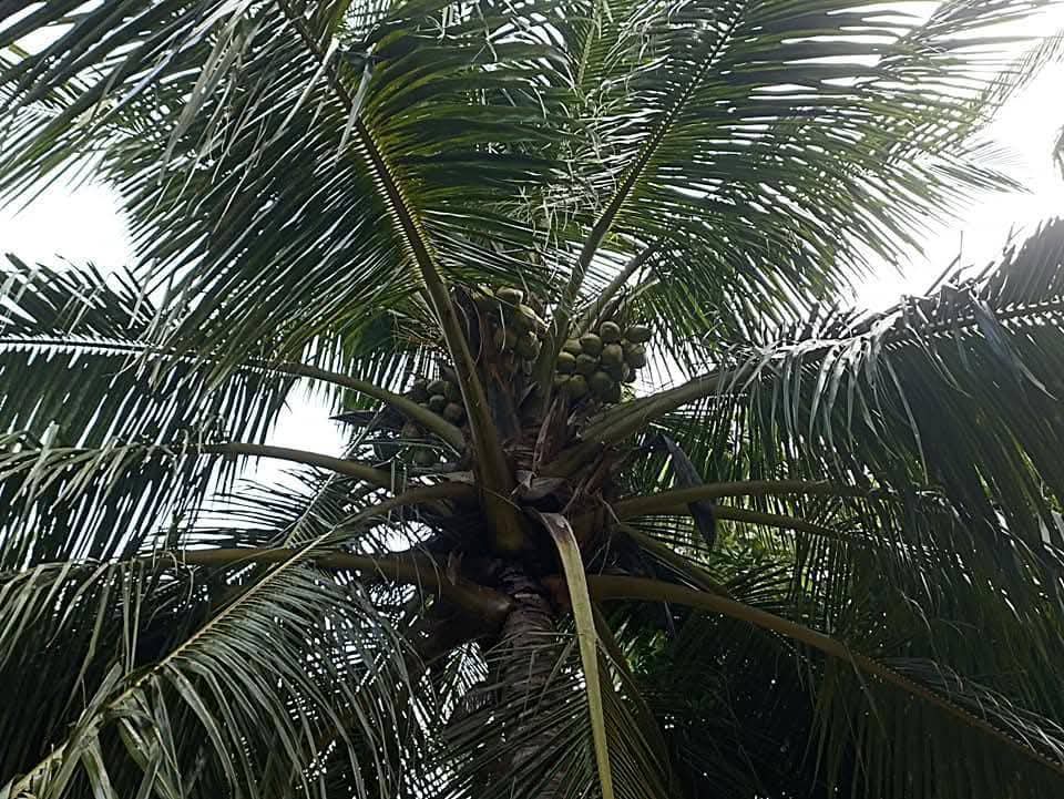 House for Sale in Puttalam