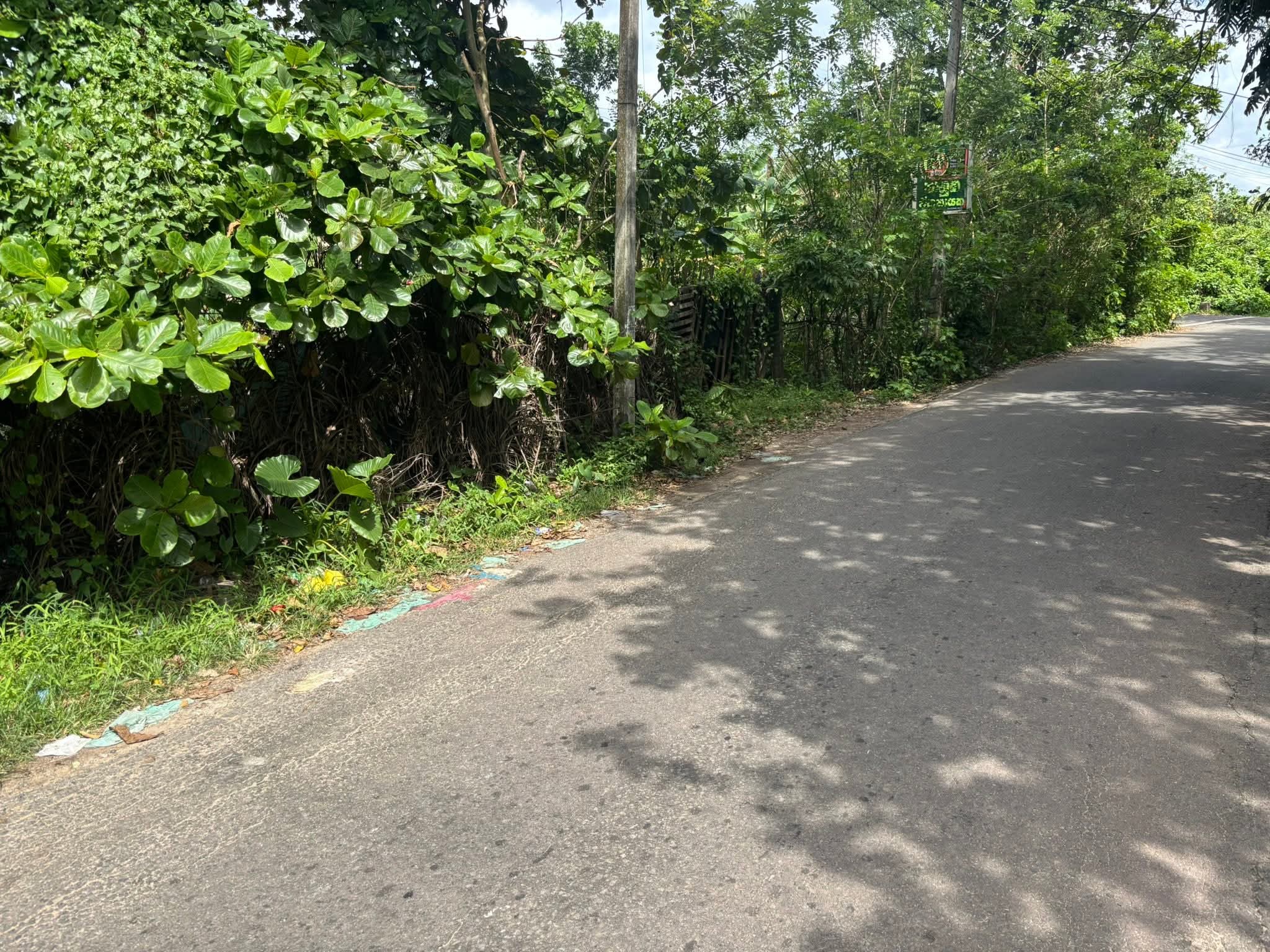 Commercial Land for Sale in Panadura ads-image-1