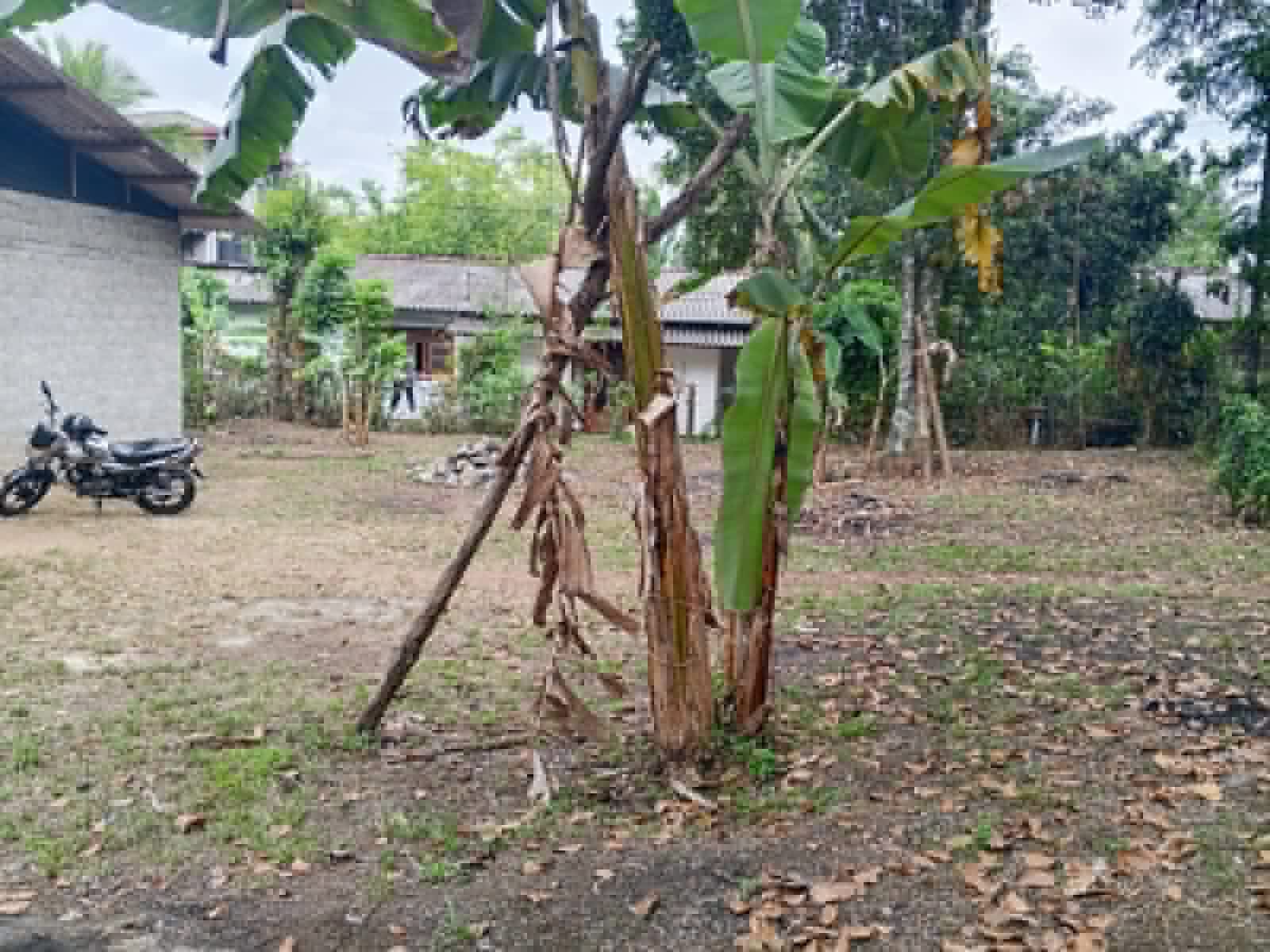 Residential Land for Sale in Bandaragama