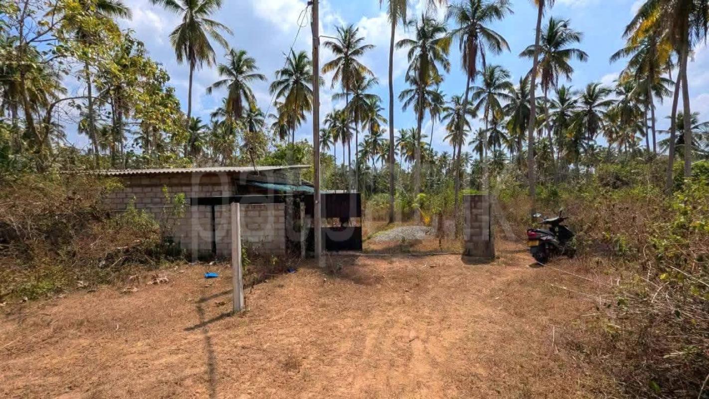 House for Sale in Negombo