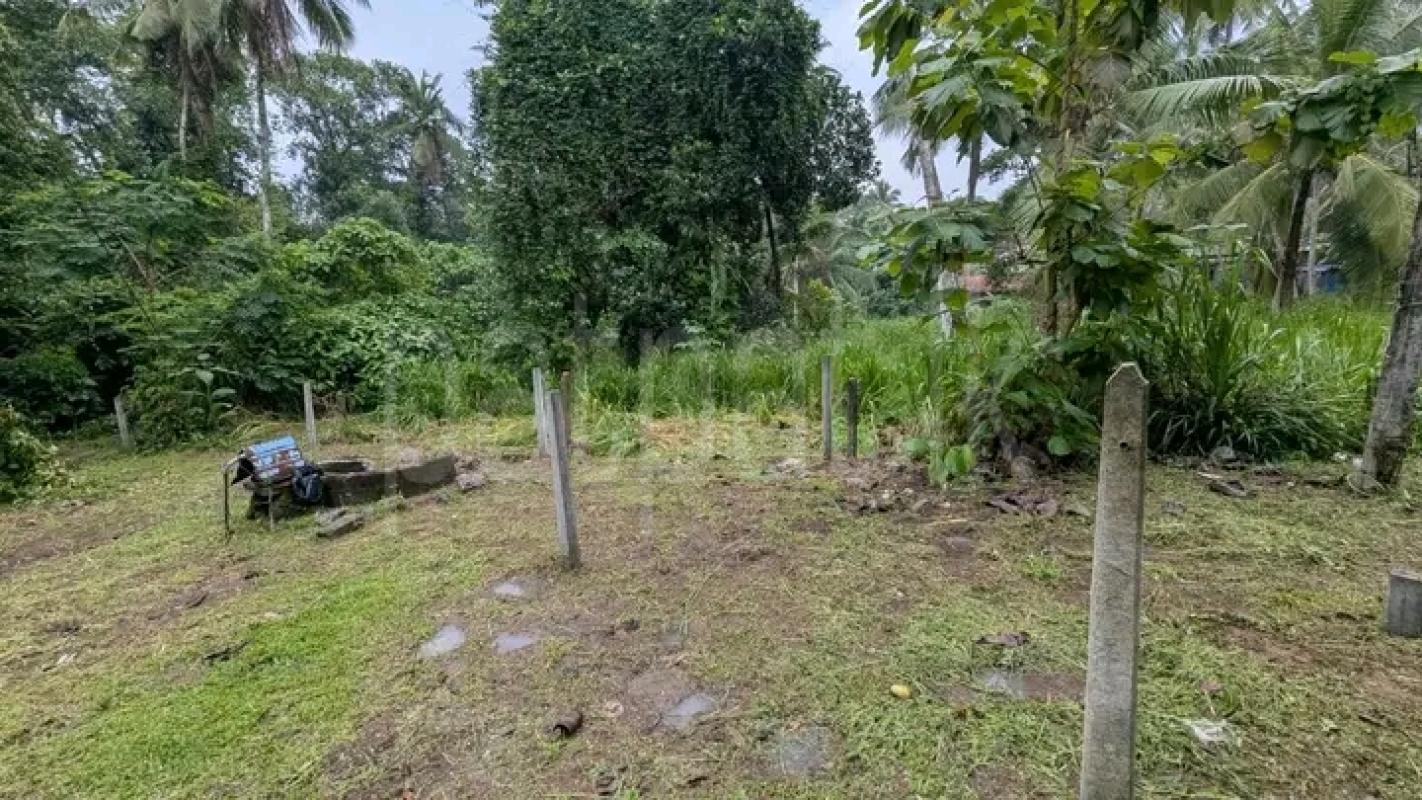 Commercial Land for Sale in Kirillawala