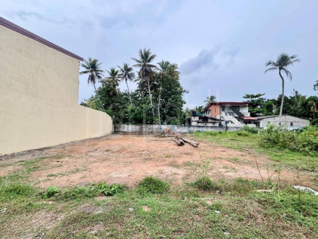 Agricultural Land for Sale in Panadura ads-image-1
