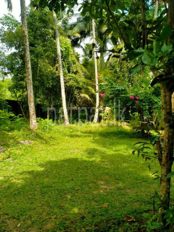 Residential Land for Sale in Makola ads-image-1