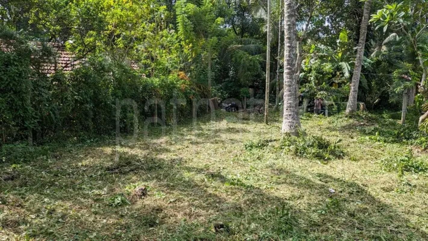 Commercial Land for Sale in Yakkala