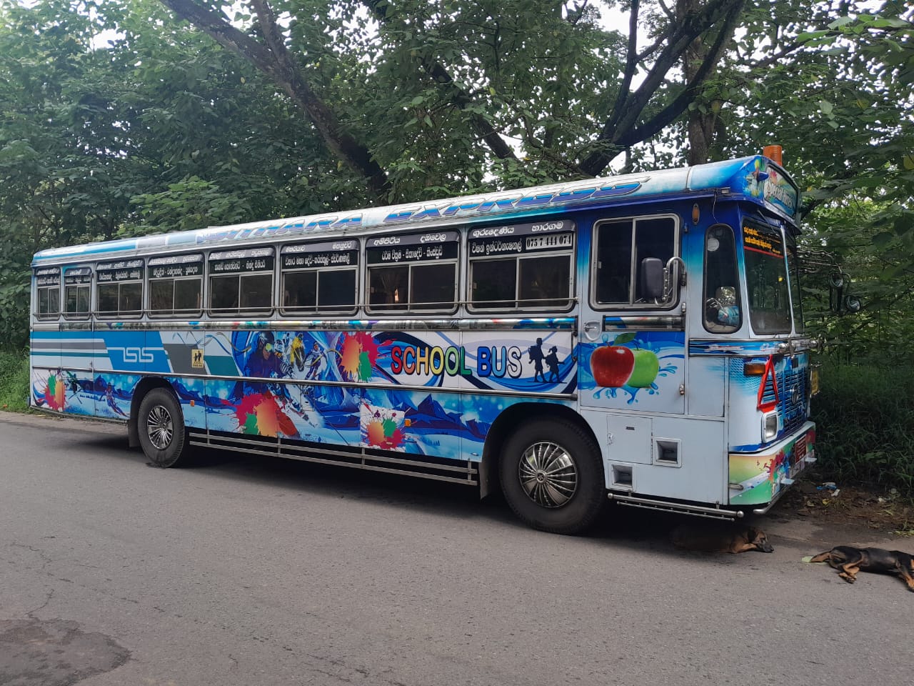 Tata 1515 2018 - Used Bus sale in Sri Lanka - patpat.lk