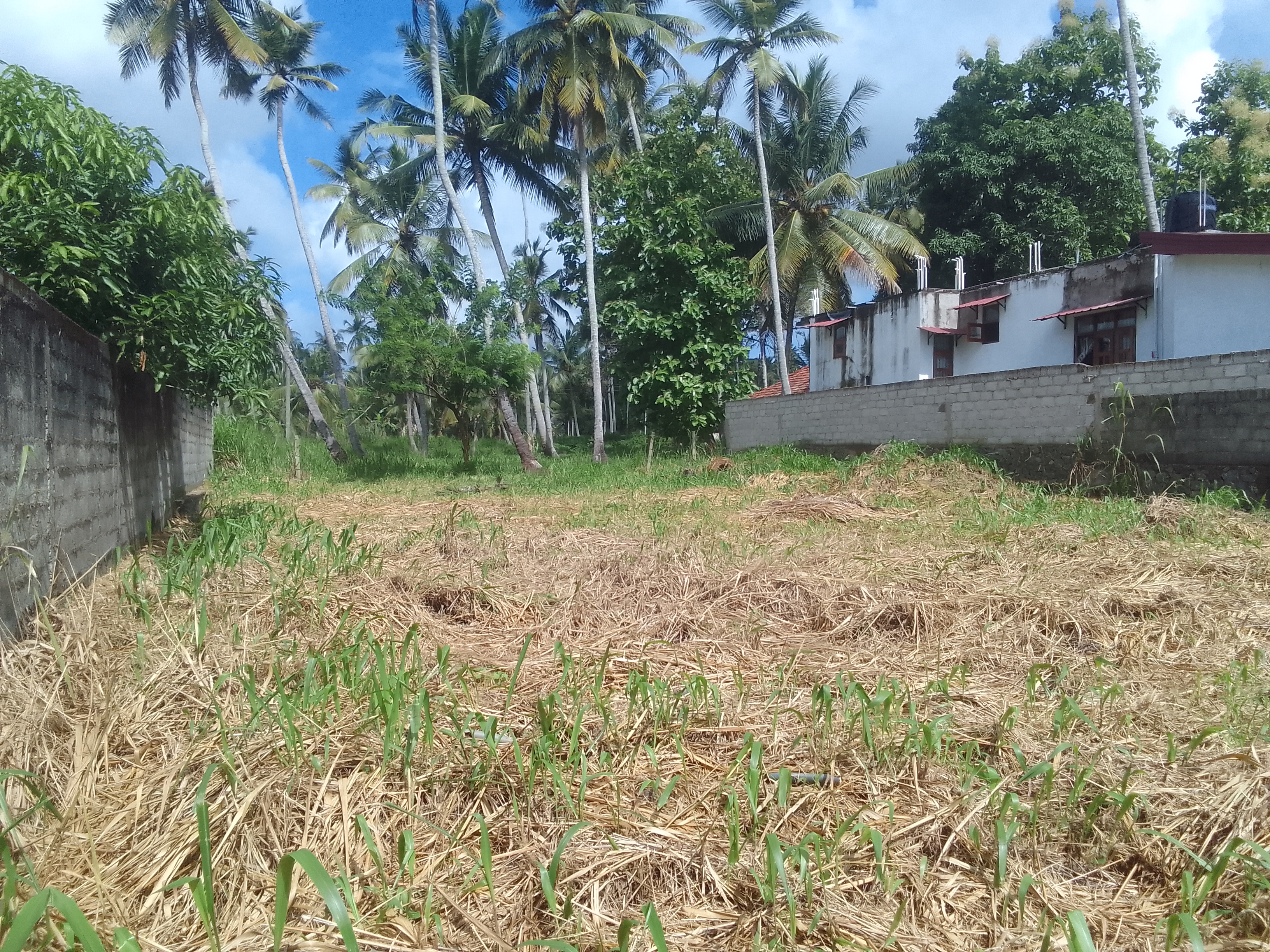 Residential Land for Sale in Minuwangoda