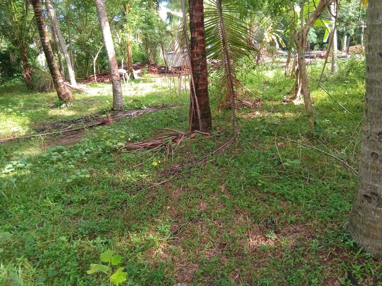 House for Sale in Divulapitiya ads-image-1